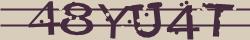 Retype the CAPTCHA code from the image