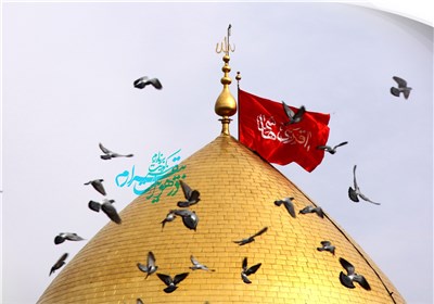 گنبدهای جدید حرم مطهرعلمدار کربلا;تصاویر