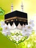 حذف حضرت علی(ع) از تاریخ اسلام توسط وهابیون عربستان