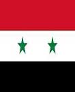 743 شهید در دو شهر شیعه نشین سوریه