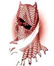 ماهيگيري وهابيها از آب گلآلود تونس
