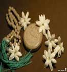 تحقیقات علمی به درستی فقه شیعی درباره سجده بر خاک صحه می گذارند