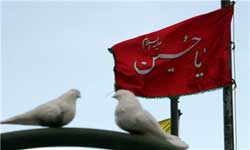 جملات زیبایی که پیامبر(ص) درباره حسین(ع) به زبان آورد