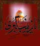 هزاران فرسنگ فاصله است؛ از زينبی(س) که من میشناسم تا زينبی(س) که تو میگويی