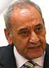بری، مفتیهای مصر را متهم به حمله به شیعیان با تحریک عربستان کرد