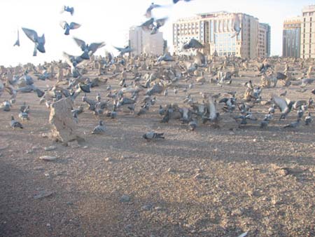 http://www.sedayeshia.com/userfiles/personali/baghi/3.jpg